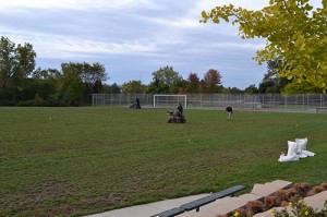 Volunteers aerate, seed and topdress the field.