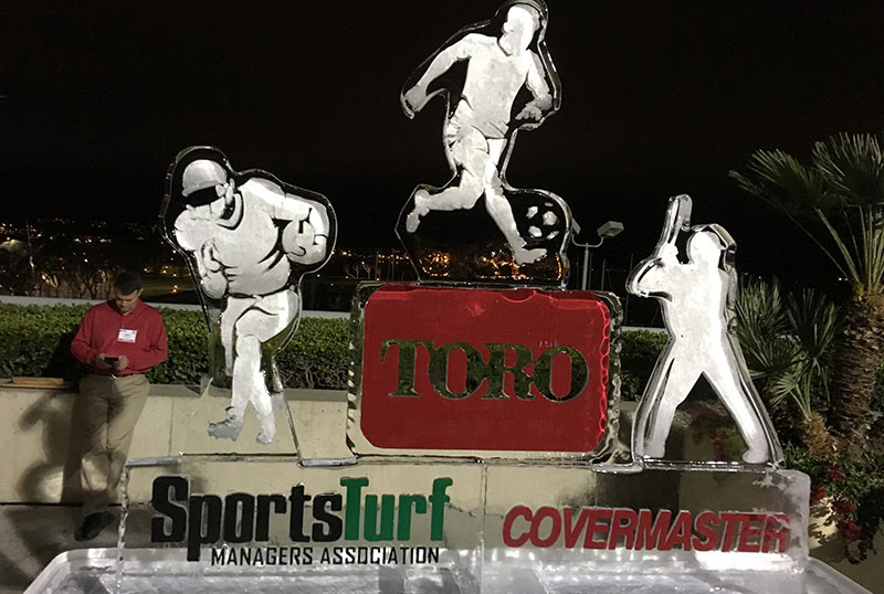 Toro-ice-sculpture-Welcome-reception-STMA16
