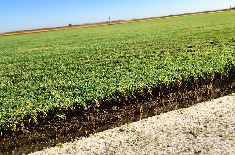 West Coast Turf's new proprietary sod product going to Super Bowl 50 at Levi's Stadium. (PRNewsFoto/West Coast Turf)