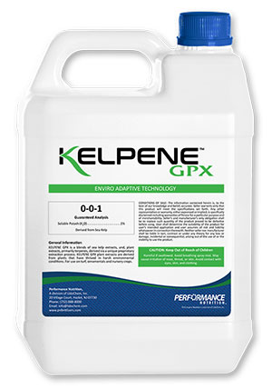 Kelpene GPX (Photo: Performance Nutrition)