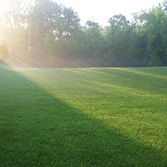 Photo: Jim Novak – The Lawn Institute