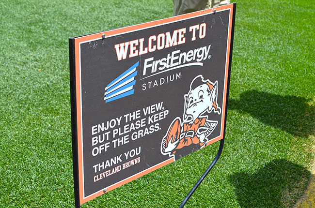 Media: Athletic Turf