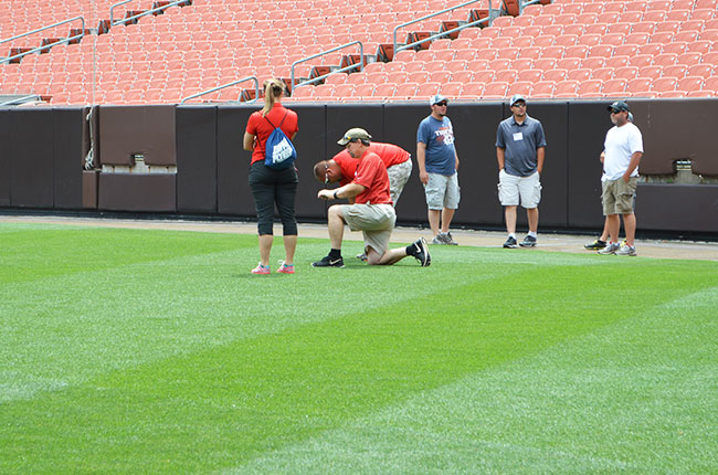 Media: Athletic Turf