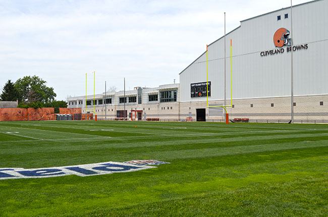 Media: Athletic Turf
