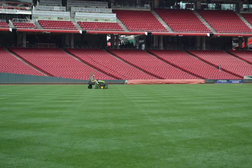 Media: Athletic Turf