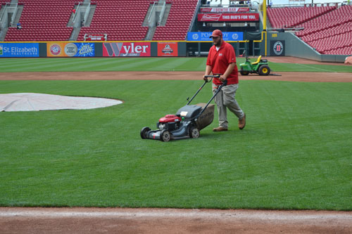 Media: Athletic Turf