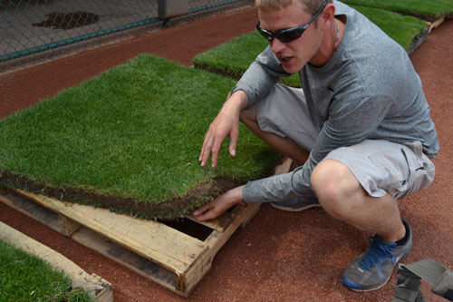 Media: Athletic Turf