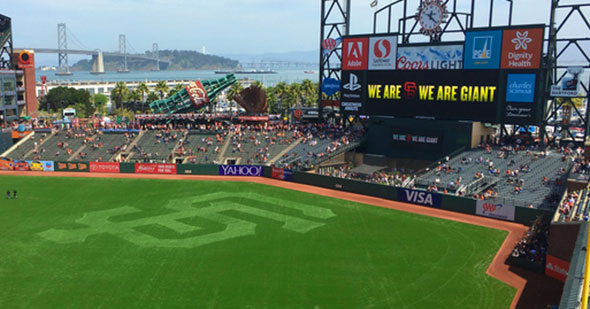 Photo: New Ground Technology
