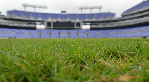 M&T Bank Stadium | Photo: AT staff
