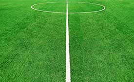 Photo: Lilkin/iStock / Getty Images Plus/Getty Images