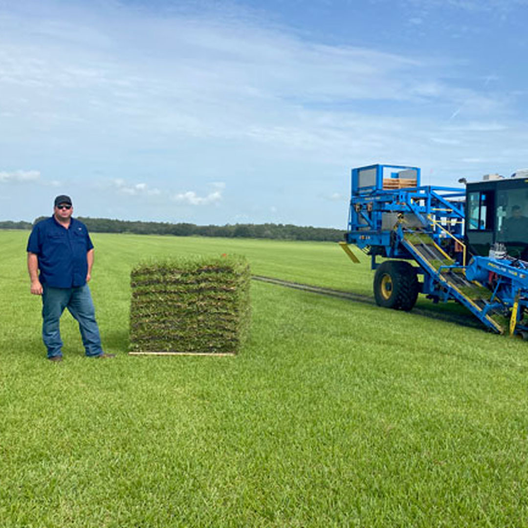 Photo Courtesy of Sod Solutions