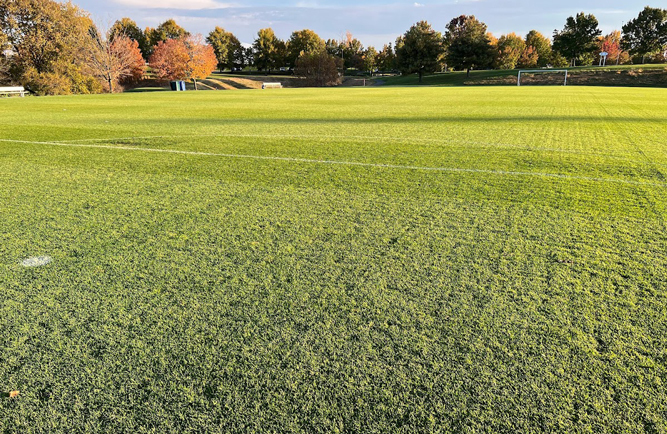 The complex is in the process of switching all of their grasses to bermudagrass. (Photo: Maryland Soccerplex)