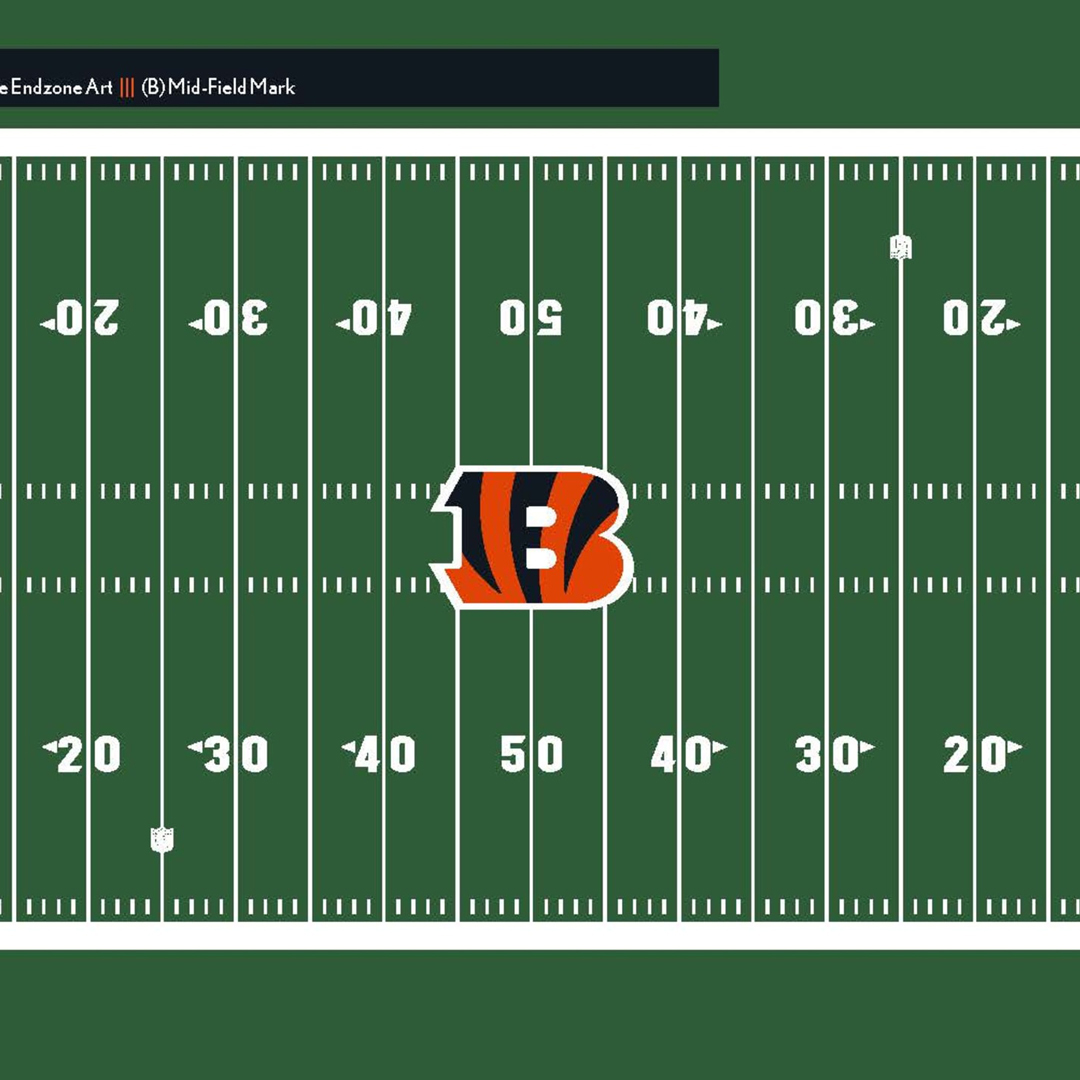Photo: Cincinatti Bengals
