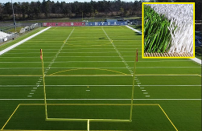 Photo: Elite Turf USA