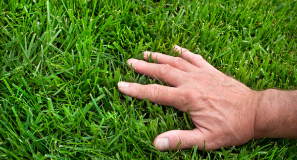 (Photo: Jon Rehg / iStock / Getty Images Plus)