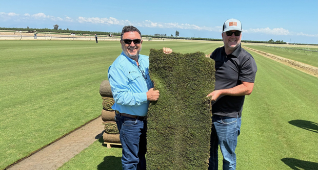 Sod Solutions launches HighPoint Bermudagrass for increased cold tolerance, drought efficiency and more